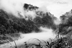 DSC_4623_Sikkim