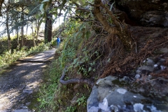 DSC_0410_way_to_Mukteswar